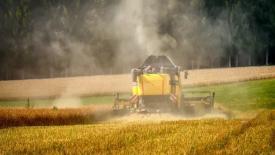 Росстат оценил чистый урожай зерна в России в 2025 году 